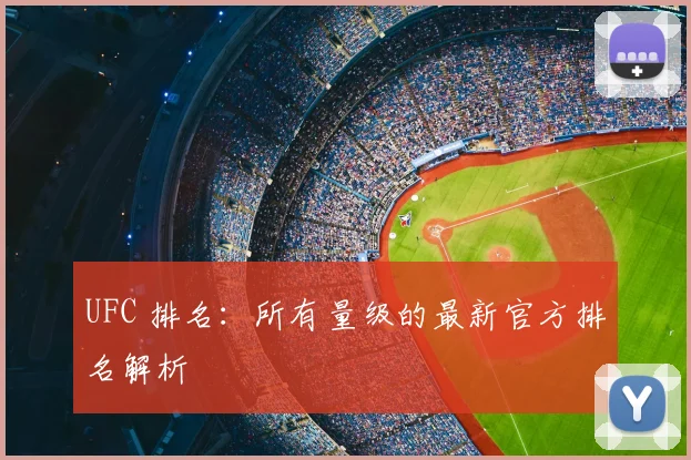 UFC 排名：所有量级的最新官方排名解析